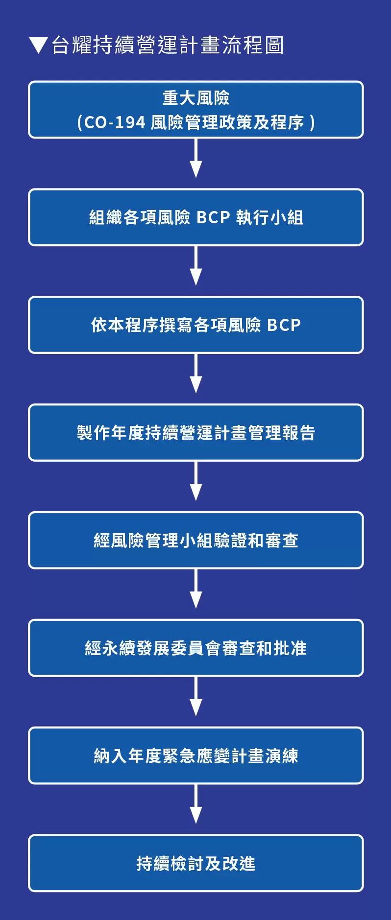 風險衝擊及因應策略 風險衝擊及因應策略