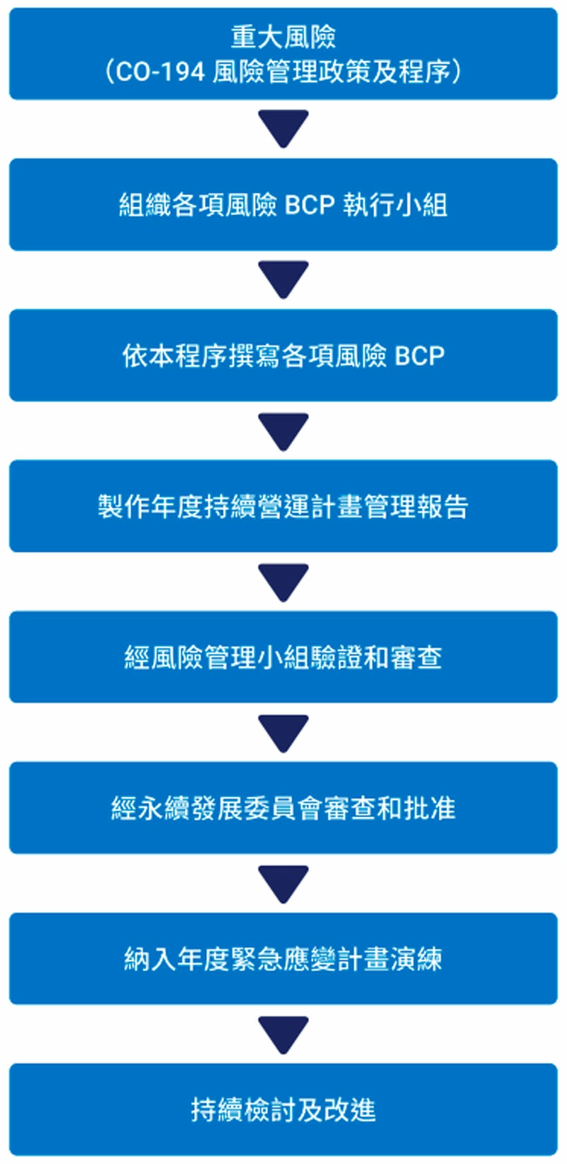 風險衝擊及因應策略 風險衝擊及因應策略