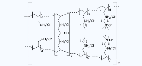 Colesevelam Hydrochloride