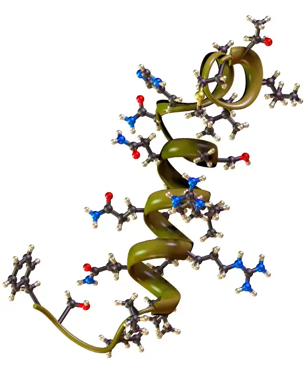 Peptide Synthesis Peptide Synthesis