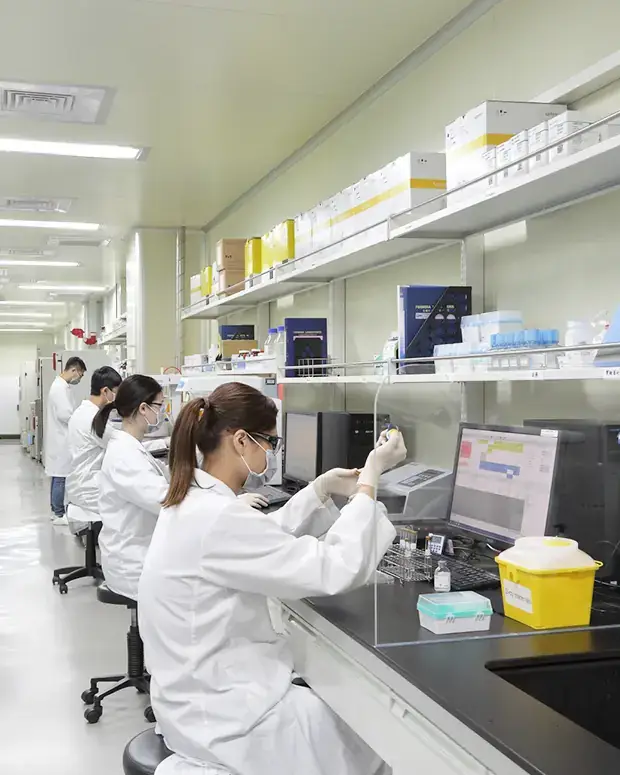 Peptide Synthesis Peptide Synthesis